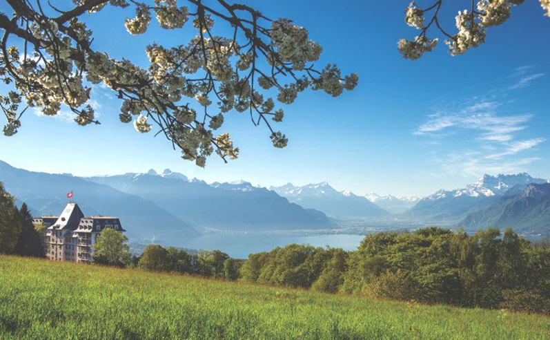 豪華裝修,奢華的私人住